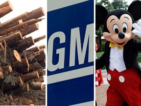 Disney and GM are both up more than seven per cent while Weyerhaeuser is up nearly nine per cent since suspending their dividend.