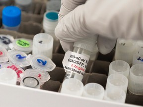 In this file photo Dr. Nita Patel, Director of Antibody discovery and Vaccine development, lifts a vial with a potential coronavirus, COVID-19, vaccine at Novavax labs in Rockville, Maryland.