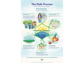 The Dole Promise, inspired by Japanese philosophy, Sampo Yoshi.