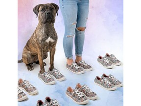 Skechers helps save the lives of shelter dogs and cats in Canada through its popular BOBS from Skechers collection. Featured dog available for adoption is Michelle from Dog Tales in King City, Ontario.