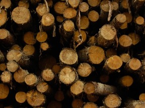 WTO rules that tariffs on Canadian wood breach global trading rules.