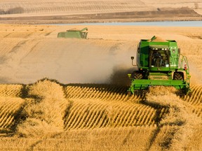 A farmer harvesting oats in Saskatchewan.