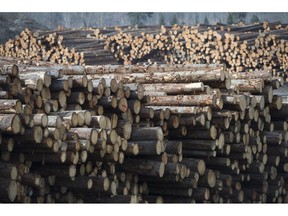 Softwood lumber is pictured at Tolko Industries in Heffley Creek, B.C., Sunday, April, 1, 2018. The U.S. trade representative is taking issue with the latest decision from the World Trade Organization on Canada's long-standing dispute with its largest trading partner over exports of softwood lumber.