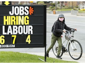A woman checks out a jobs advertisement sign during the COVID-19 pandemic in Toronto on Wednesday, April 29, 2020. Statistics Canada will report this morning how the country's labour market performed in July as more parts of the economy were allowed to reopen.