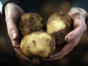 Droughts in 2018 followed by flooding in 2019 and now collapsing demand from the coronavirus lockdown have left a potato surplus of almost 200,000 tonnes in March in the UK, putting pressure on prices.