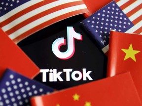 The Trump administration's threat to ban TikTok and other Chinese-owned apps could significantly hamper their access global user data, which is an immensely valuable resource in a modern internet economy.