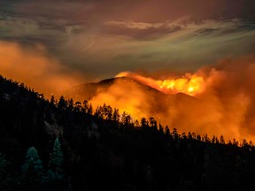 The Bobcat Fire continues to burn through the Angeles National Forest in Los Angeles County, north of Azusa, California, September 17, 2020.