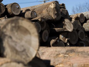 The WTO determined in August that U.S. duties, designed to counter Canadian subsidies on softwood lumber, breached global trading rules.