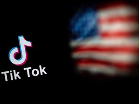 TikTok's owner, ByteDance Ltd., requested the hold after the president ordered the app out of American stores unless the company sold a stake in its U.S. operations to a domestic buyer.
