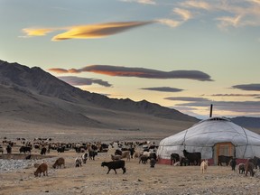 A traditional Yurt in Mongolia, a type of tent very popular throughout the country.