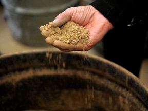 A worker holds a handful of rocks containing rare earth elements at a facility in California.