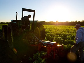 What agriculture could be for Canada has not been tested.