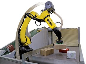 The new flexible fulfillment solution incorporates a FANUC robot and Plus One's AI-powered PickOne perception system