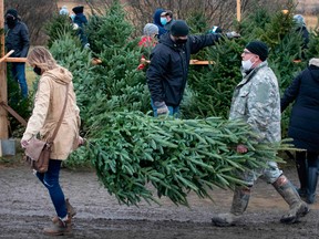 Shoppers carry a Christmas tree at a farm in Harrowsmith, Ont.