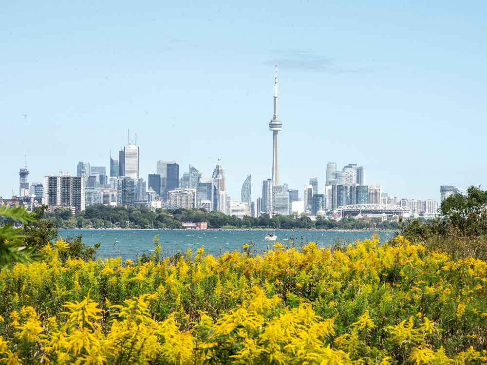 Toronto Life & Leisure cover image