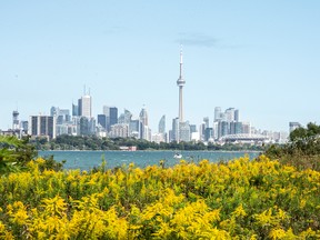 Condo rents on the Toronto Regional Real Estate Board's listing service down 17 per cent from a year ago.