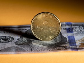 The loonie is expected to firm up against the U.S. dollar this year.