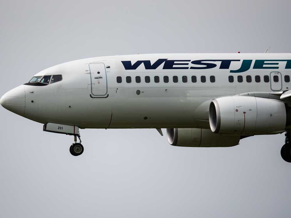 WestJet cutting jobs and slashing flight capacity by 1/3