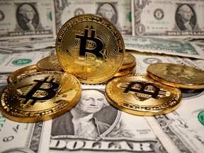 Bitcoin has the potential of becoming a widely accepted store of value in the next seven years.