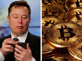 That Tesla, one of the world's most influential companies, and billionaire Elon Musk have thrown their weight behind Bitcoin is a massive sign of support for the cryptocurrency.