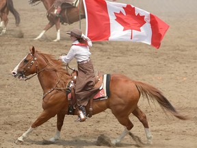 Canadian oil and natural gas stocks are galloping ahead of the main benchmark.