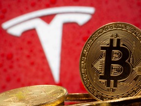 Tesla Inc and Bitcoin, two of Cathie Wood's biggest bets, are dropping this week amid growing concerns about valuations for the companies that have led the bull-market in stocks.