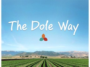 The Dole Way framework paves the way for further improvements in areas where Dole believes it can make the biggest positive impacts