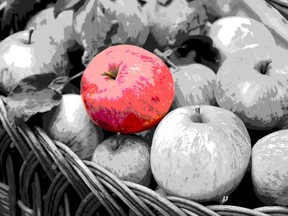 A red apple among grey apples in a basket