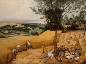 The Harvesters (July–August) by Pieter Bruegel the Elder.