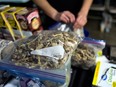 A vendor bags psilocybin mushrooms at a pop-up cannabis market in Los Angeles.