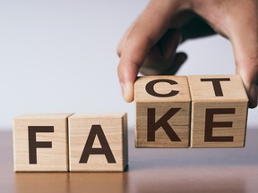 Wooden cubes that read "FAKE" and "FACT."