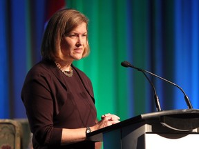 Elyse Allan, a director of Brookfield Asset Management Inc. and the former chief executive of General Electric Canada Company Inc., was on Friday named as the first chair of Invest Ontario's inaugural board of directors.