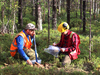 Sampling during field work at the Mustajärvi Gold Project.