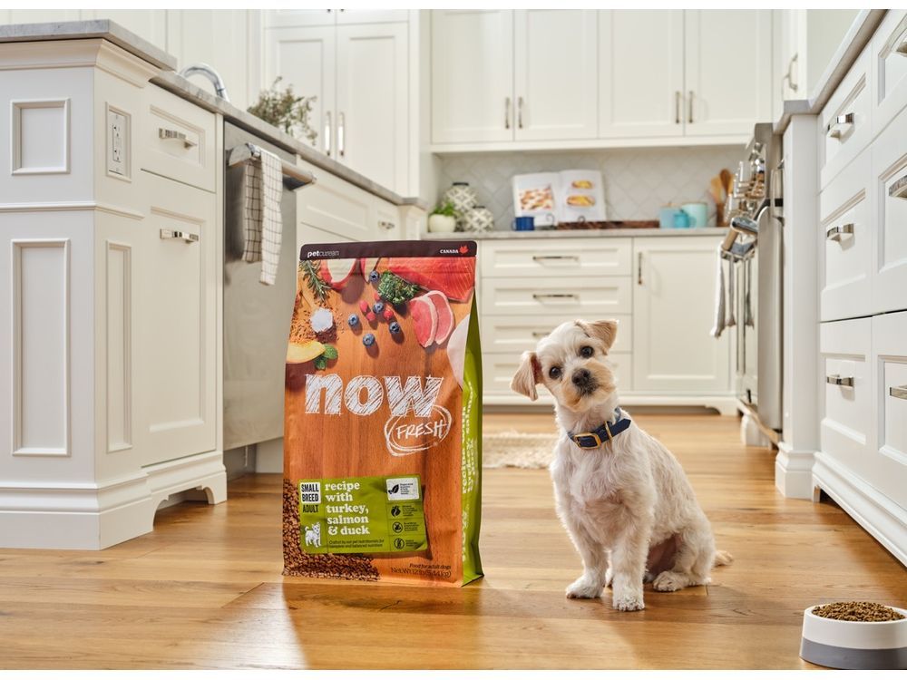 Petcurean Announces Global Brand Refresh of NOW FRESH Collection