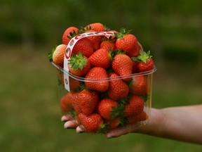 Strawberries in a clear basket