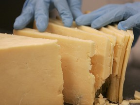 A worker hand sorts wedges of cheddar cheese