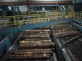 aw lumber moves into the saw mill at the Resolute Forest Products facility in Thunder Bay, Ont.