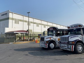 Commuter buses are parked outside the Tridonex auto-parts plant in Matamoros, Mexico. Independent trade-union lawyer Susana Prieto Terrazas was jailed last June for a month after working to organize employees at the plant.