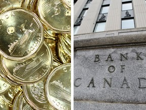 The Bank of Canada has made it clear it's worried about Canada's high-flying loonie.