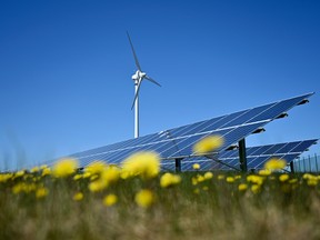 A wind turbine and solar panels behind a field of yellow wildflowers.