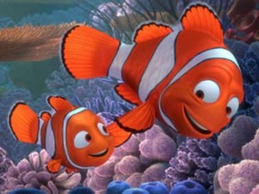 A large body of academic research claimed increased ocean acidification caused by rising levels of C0₂ in the air and water was changing the habits of the lovable clownfish, famous as the star of Disney’s Finding Nemo.