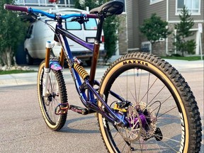 Martin Pelletier was able to make a gain by flipping several bikes and buy his "ultimate dream bike."