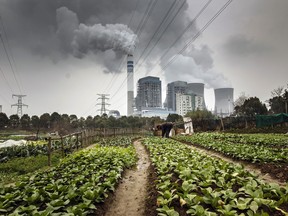 A man tends to vegetables in a field as emissions rise from nearby cooling towers of a coal-fired power station in Tongling, Anhui province, China.