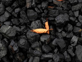 Environment and Climate Change Minister Jonathan Wilkinson said in June the federal government could not prevent thermal coal miners from bringing projects forward, but “the bar (for approval) would be exceedingly high.”