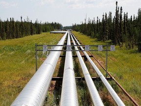 Oil, steam and natural gas pipelines run through the forest at the Cenovus Foster Creek SAGD oilsands operations near Cold Lake, Alberta.