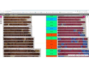 Imago establishes a consistent process for capturing high-quality images, which integrate with existing workflows and allow the application of machine learning. Imago instantly displays machine learning insights together with images during interpretation and modeling. Imago's on-screen masking and classification tools export data to train models. The Imago Cloud library of geology images provides rich information that supports user interpretation and modeling work.