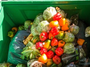 One third of all food produced in the world each year does not get consumed, according to the UN.