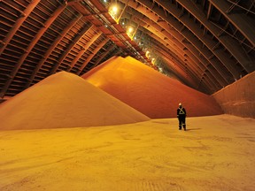 FILE PHOTO: An interior view of the storage warehouse is seen at Nutrien's Cory potash mine near Saskatoon, Saskatchewan, Canada August 12, 2019. REUTERS/Nayan Sthankiya/File Photo