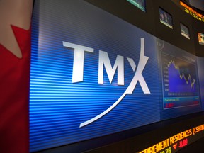 The TSX30 companies produced on average shareholder adjusted returns of more than 300 per cent over the last three years.