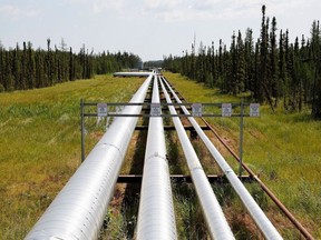Pipelines run through the forest at the Cenovus Foster Creek SAGD oil sands operations near Cold Lake, Alberta.